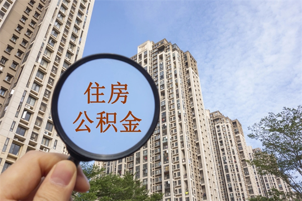 日照离职后公司不给转公积金怎么办（离职后公司不给转社保怎么办）